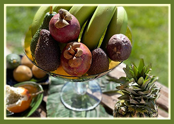 İLAÇ KALİTESİNDE ŞİFA KAYNAĞI ZEYTİNYAĞI NASIL ELDE EDİYORUZ?